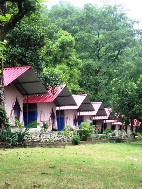 camping-in-shivpuri-india